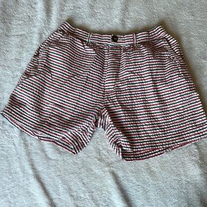 Men’s Chubbies Shorts